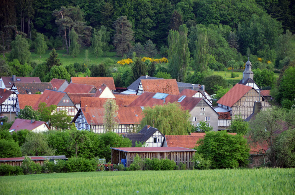 Das Dorf Kehna mit seinen Häusern im Fachwerkstil, mit einer Wiese im Vordergrund und einem Wald im Hintergrund